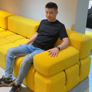 DS036 Compressed sofa